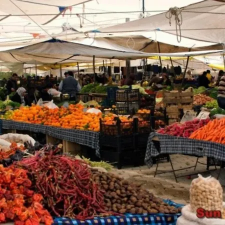 Ciara * Φετιγιέ